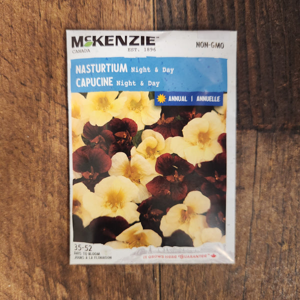 Nasturtium 'Night and Day'