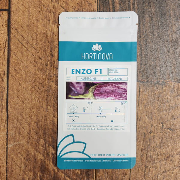 Eggplant 'Enzo' F1