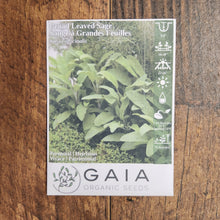 Sage Large Leaf Organic
