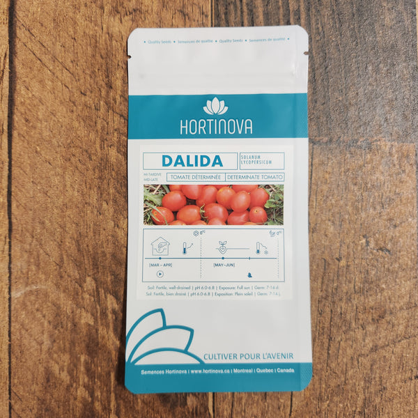 Field tomato 'Dalida'