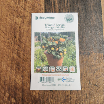 Tomate Cerise 'Orange Hat' bio