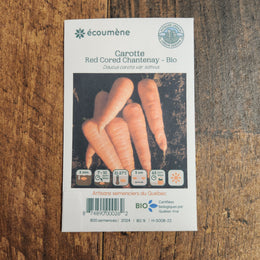 Carotte 'Red Cored Chantenay' bio