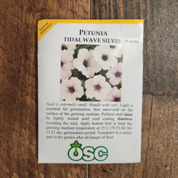 Pétunia tidal wave 'Silver'