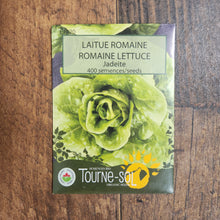 Organic 'Jadeite' romaine lettuce