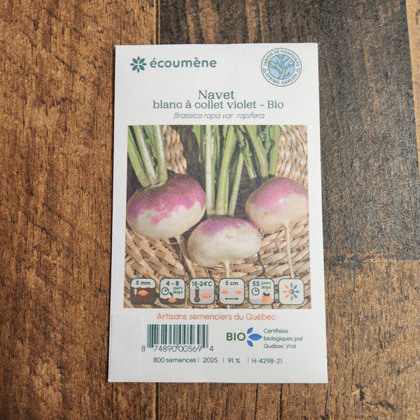 Organic White Turnip with Purple Collar