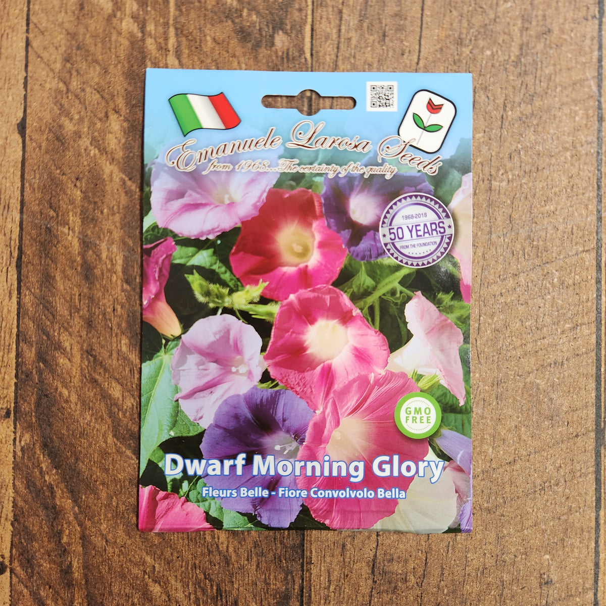 Gloire du matin naine ‘Convolvolo Bella Flower’ (<em>Convolvulus tricolor</em>)