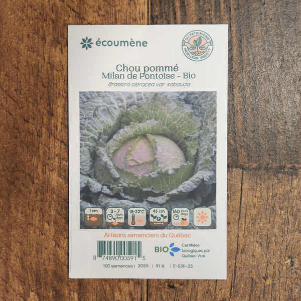 Organic red cabbage 'Milan de Pontoise'