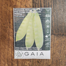 Snow Peas 'Mammoth Melting' organic
