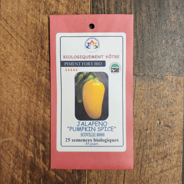 Hot pepper 'Jalapeno Pumpkin Spice'