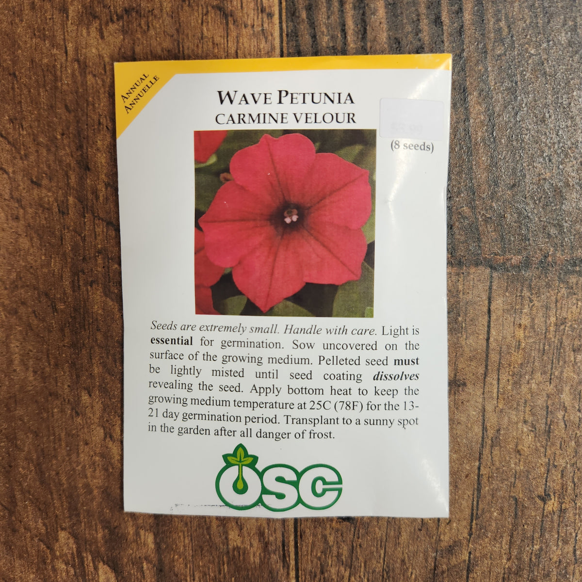 Petunia 'Carmine Velour'