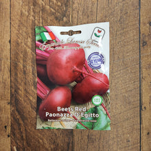 Beetroot 'Poanazza d'Egitto'