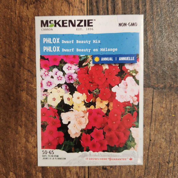 Phlox mix 'Dwarf Beauty'
