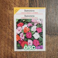  Impatiens 'Choice Mix F-2 Hybrid'