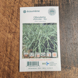 Ciboulette 'Chinoise' bio