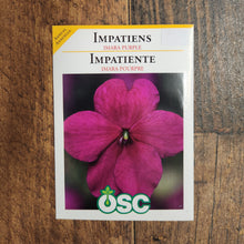 Impatiens 'Imara XDR Purple'