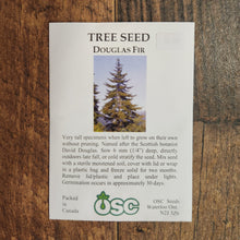Douglas Fir