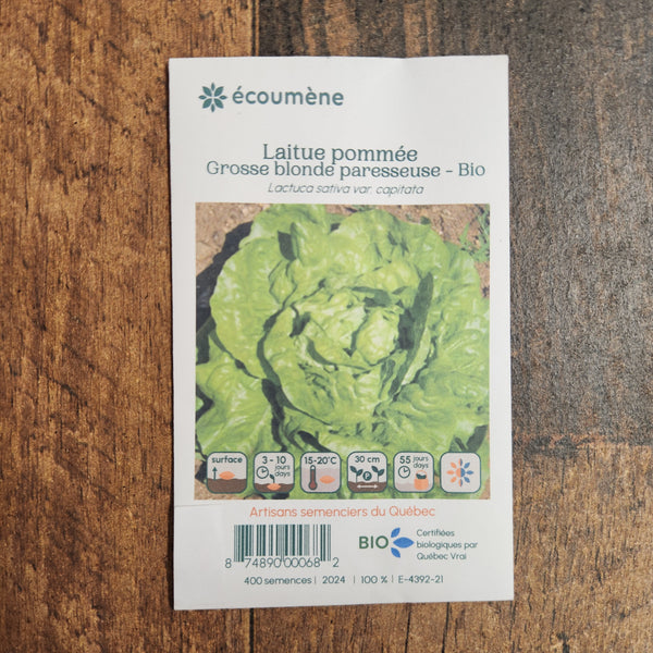 Organic 'Big Lazy Blonde' Headed Lettuce