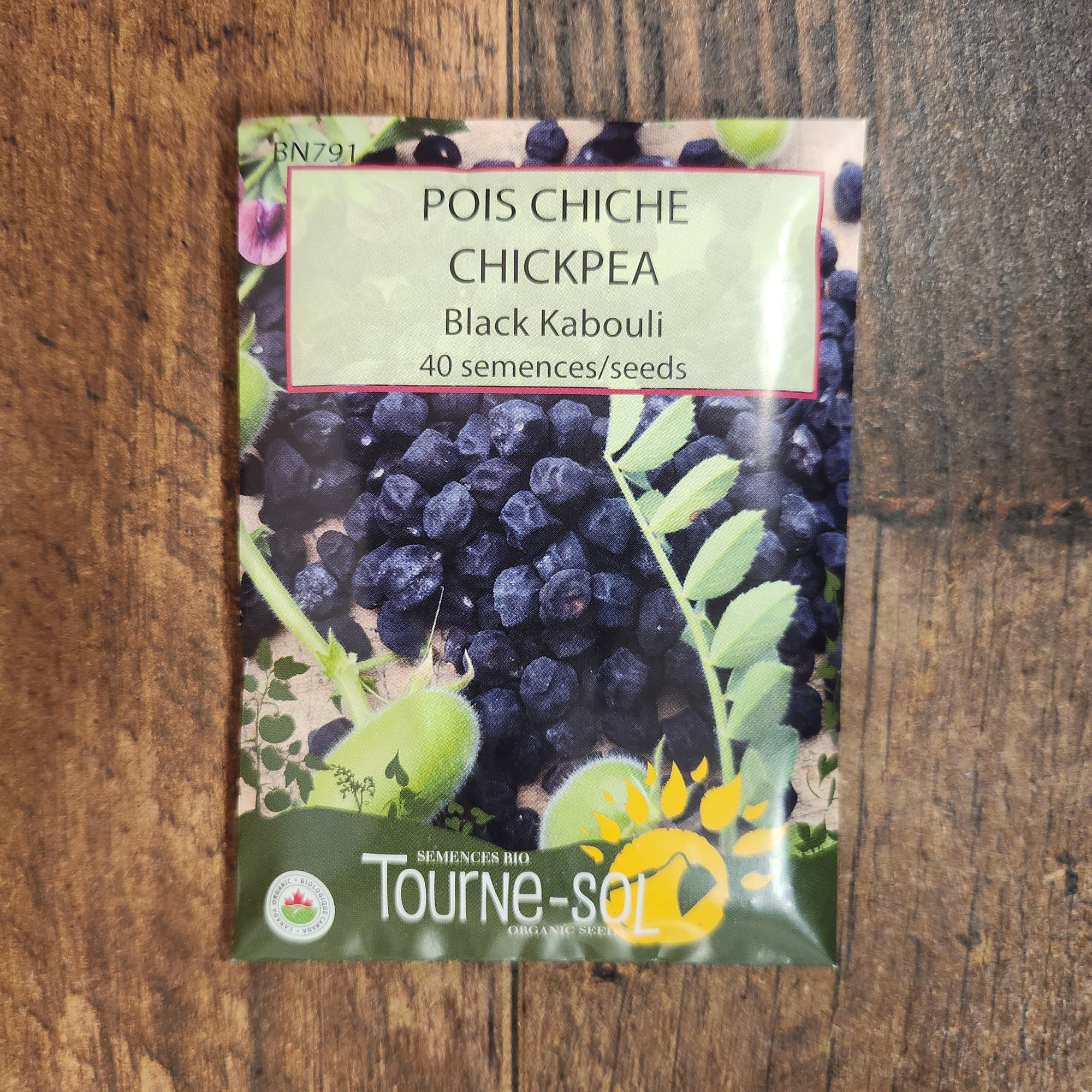 Pois chiche ‘Black Kabouli’ (<em>Cicer arietinum</em>)