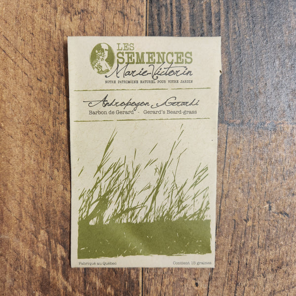 Gerard’s Beard-grass