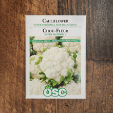  Cauliflower 'Snowball'