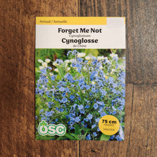 Chinese Cynoglossum
