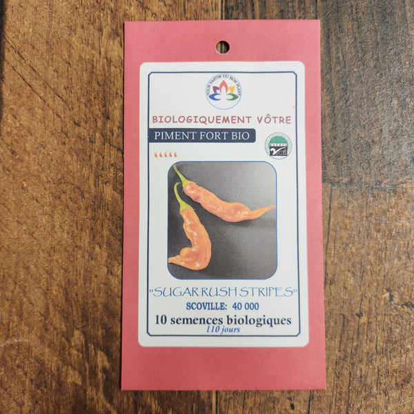 Hot pepper 'Sugar Rush Stripes'