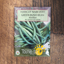 Bush bean Maxibel