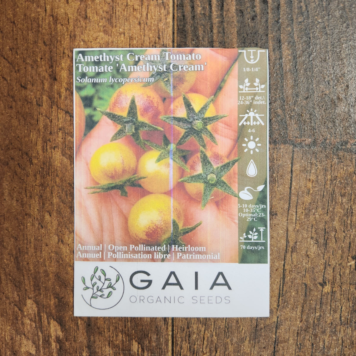 Tomate 'Amethyst Cream' bio