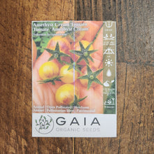 Tomato 'Amethyst Cream' Organic 