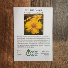 Coreopsis Lanceleaf