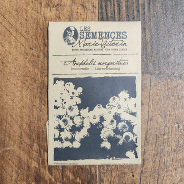 Immortelle