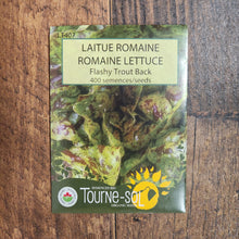 Laitue romaine 'Flashy Trout Back' bio