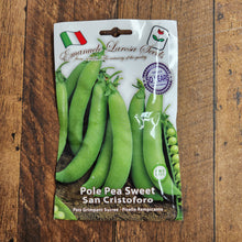 Pole pea 'San Cristoforo'