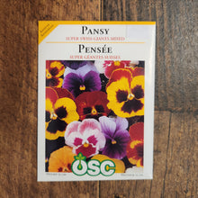 Pensée 'Super Swiss Giant Mixed'