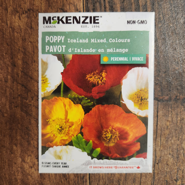 Icelandic Poppy Mix