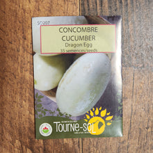 Organic 'Dragon Egg' Cucumber