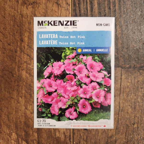 Lavatera 'Twins Hot Pink'