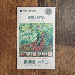 Organic 'Rhubarb' Swiss Chard