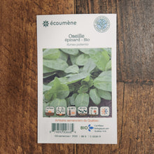 Organic Sorrel Spinach