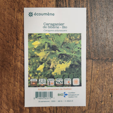 Caraganier de Sibérie bio