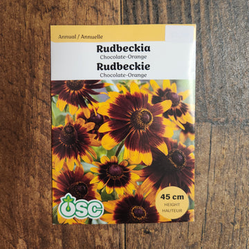 Rudbeckia 'Chocolate-Orange'