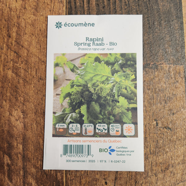 Organic Rapini 'Spring Raab'