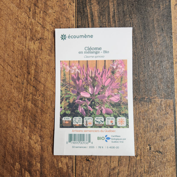 Cleome mix organic