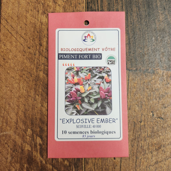 Organic hot pepper 'Explosive Ember'