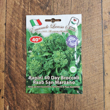 Rapini 'Riccia di San Marzano' quarantine (40 days)
