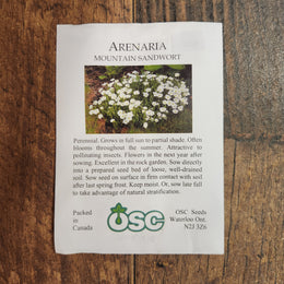 Mountain Sandwort