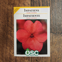 Impatiens 'Imara XDR Salmon'