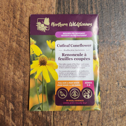 Cutleaf Coneflower