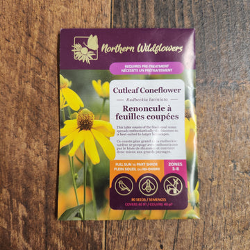 Cutleaf Coneflower