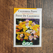 California Poppy 'Mission Bells Mixed'